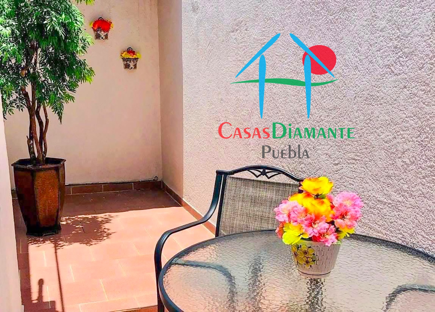 Las Ánimas Casa y Corporativo 360 - Patio oficinas 1